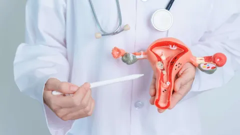 شرح مبسط لمتلازمة تكيس المبايض (PCOS) وتأثيرها على الإنجاب