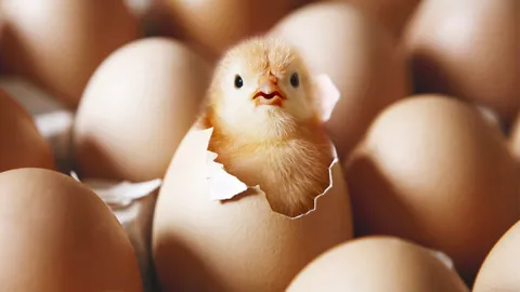 علامات الولادة الحقيقية: 10 مؤشرات تدل على أن المخاض قد بدأ