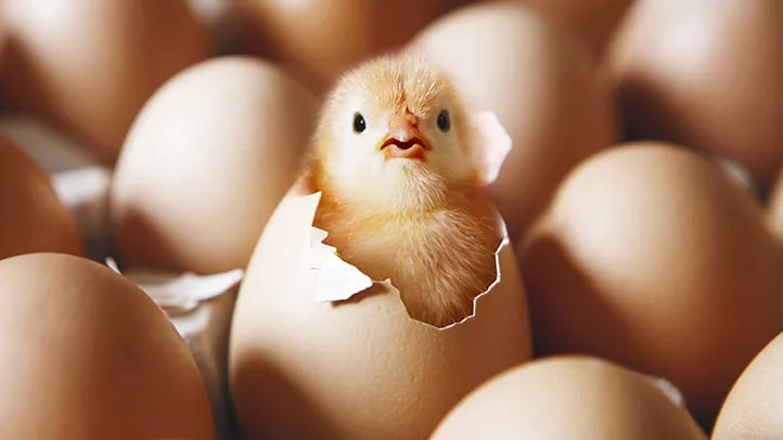 علامات الولادة الحقيقية: 10 مؤشرات تدل على أن المخاض قد بدأ